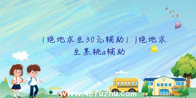 「绝地求生30元辅助」|绝地求生黑桃a辅助